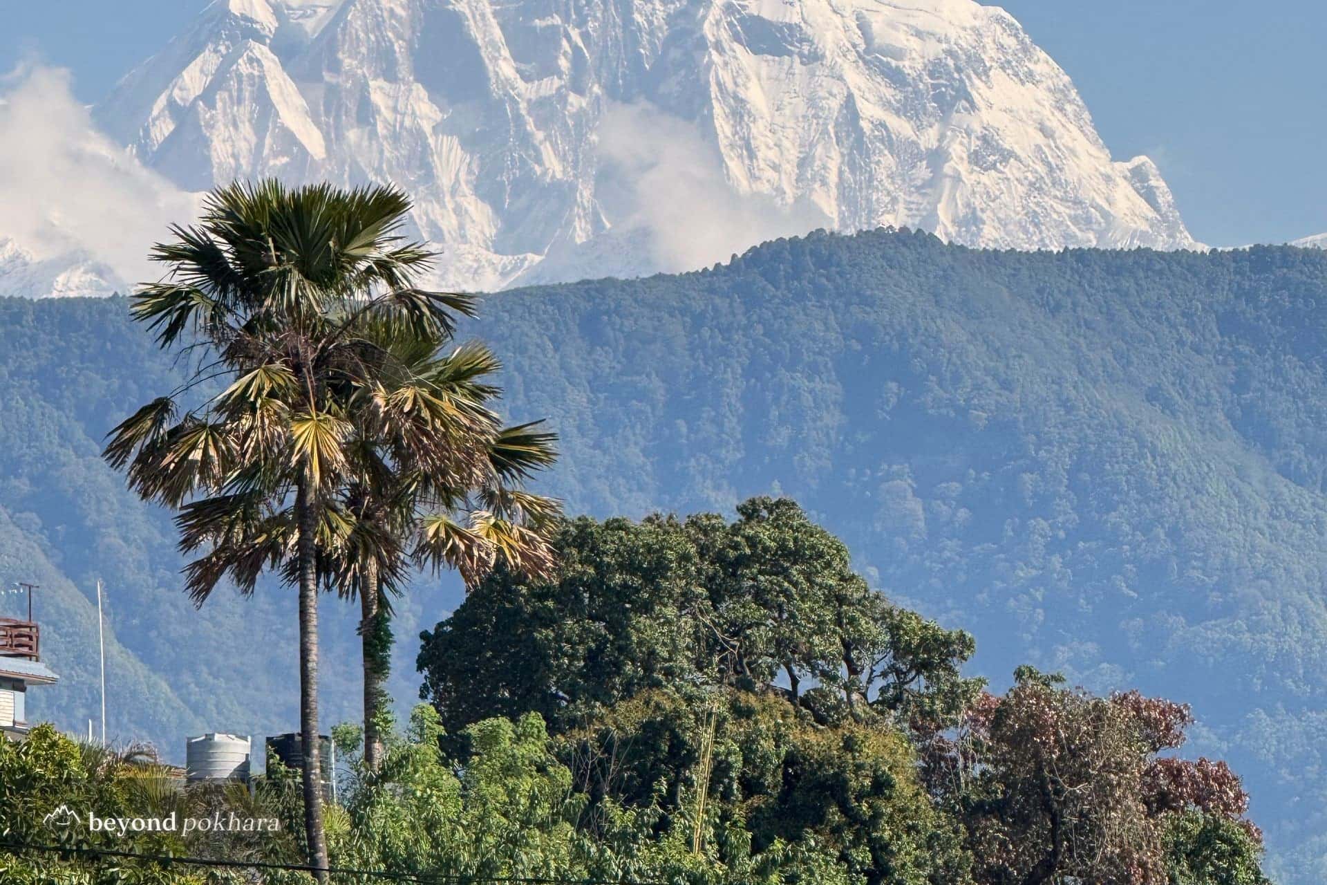 Annapurna South and Machapuchare from Dhampus