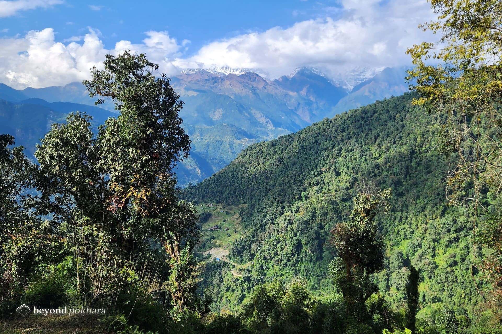 Annapurna views along the Sarangkot to Naudanda ridge