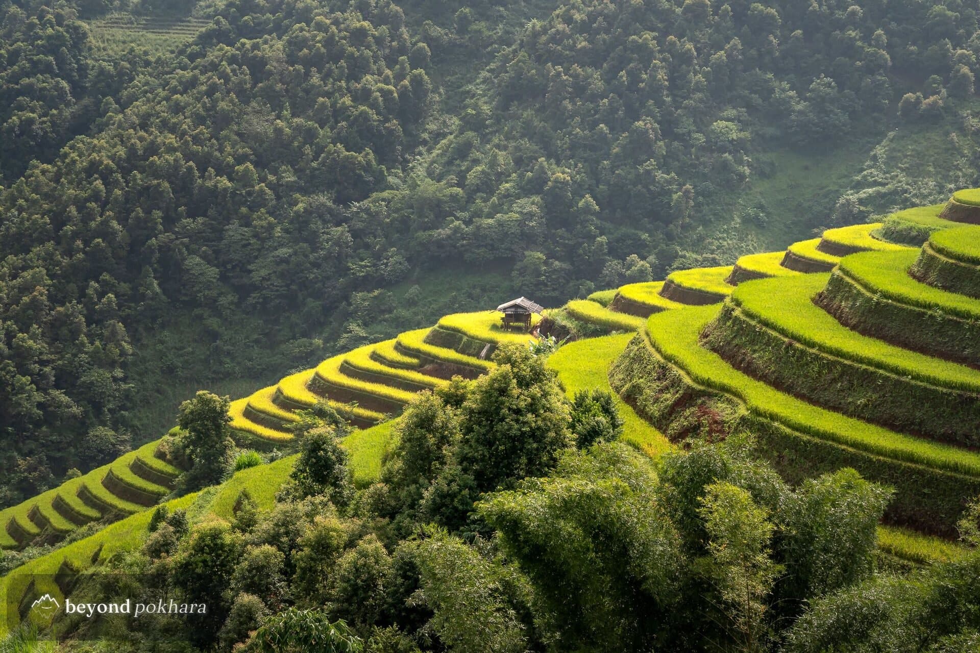 Terraced hills and a village at Nirmal Pokhari near Pokhara