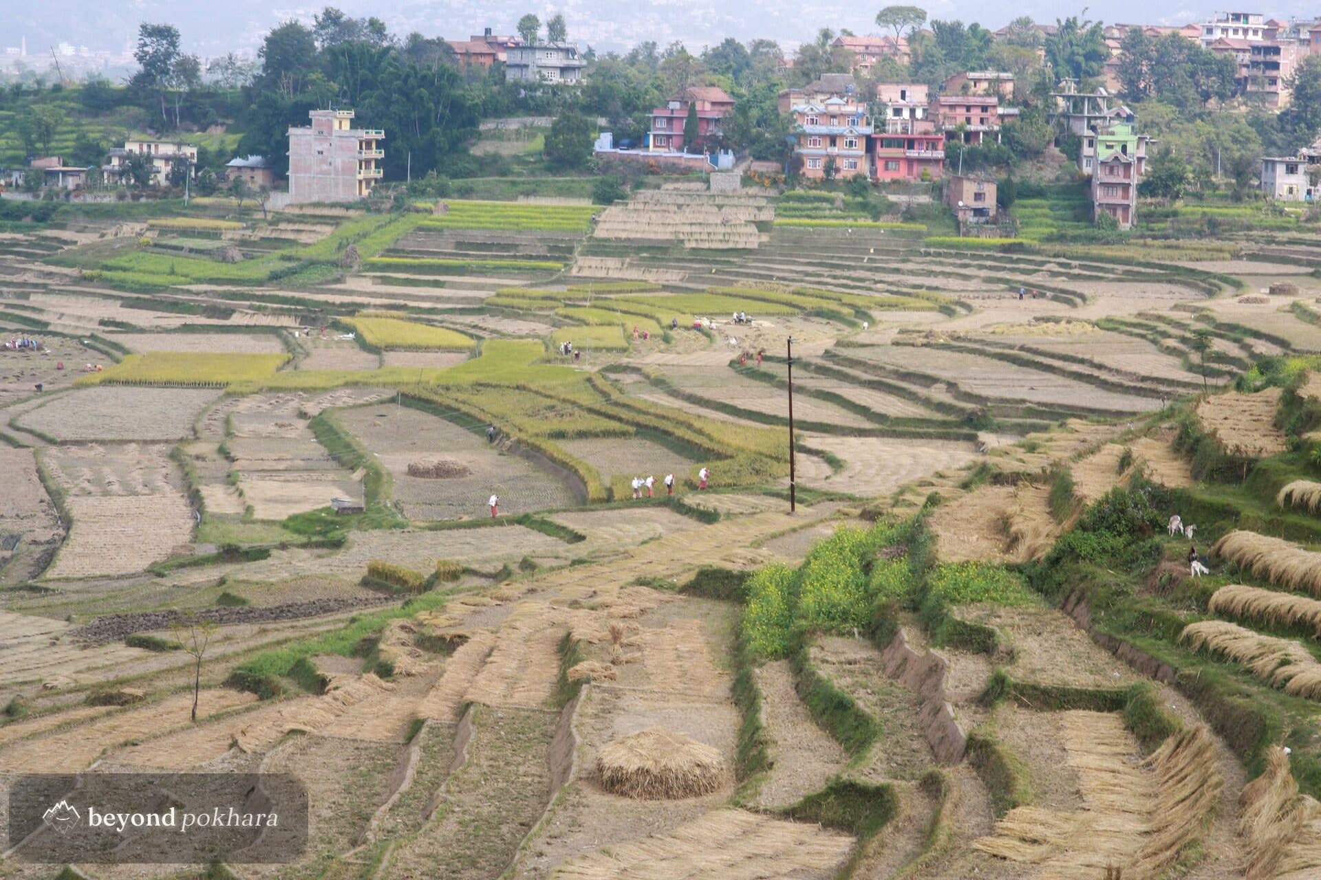 Terraced fields and village houses at Nirmal Pokhari