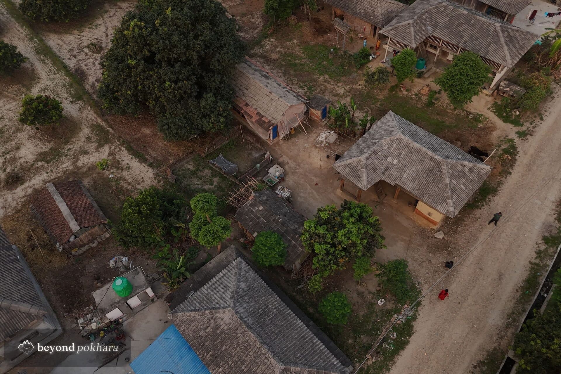 Thatched Tharu homes and farmland in the Terai